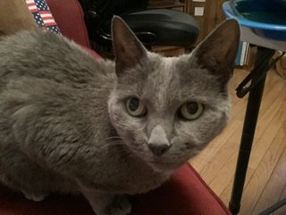 IMG_1138.jpeg