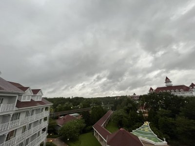 IMG_5631.jpeg