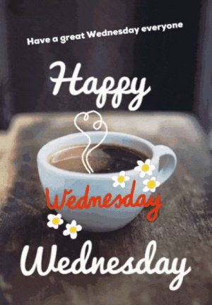 IMG_1836.gif