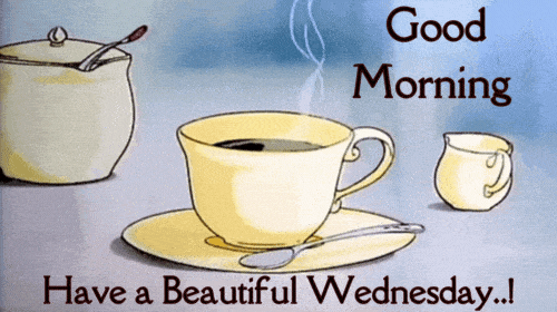 IMG_1837.gif