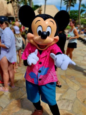 20230625_151231[1].jpg