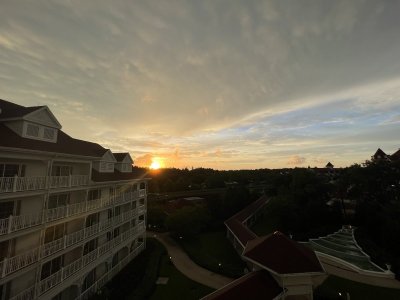 IMG_5728.jpeg
