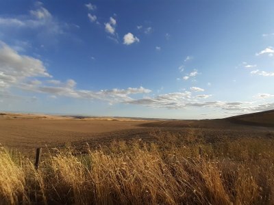 20230830_175623.jpg