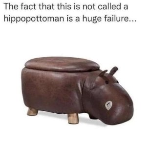370509922_868648597958144_6592499385336226156_n.jpg