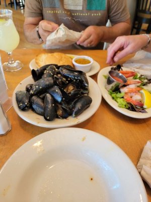 mussels.jpeg