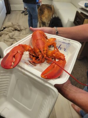 lobsta.jpg