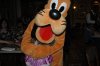 mickey photo of pluto.jpg
