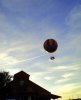 DSC08482.JPG