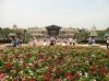 IMG_1652.jpg