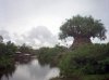 AK_discovery_river_boats.jpg