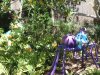 2013 Wild West Road Trip 1394.JPG
