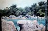 9-9-2011_047AAAA.jpg