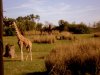 DSC08540.JPG