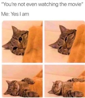 1693548054506.jpeg
