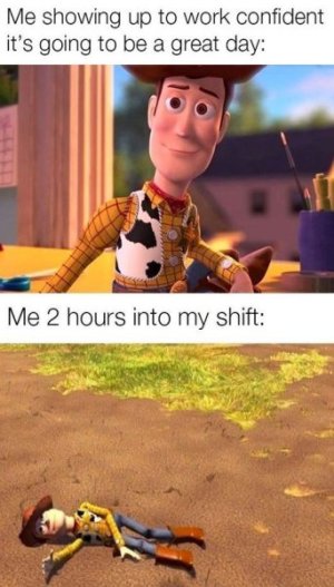 IMG_3081.jpeg