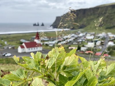 IMG_3709.JPEG