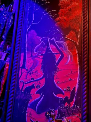 IMG_1921.jpeg