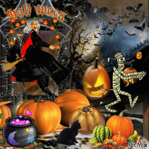 IMG_1932.gif