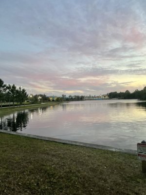 IMG_0649.jpeg