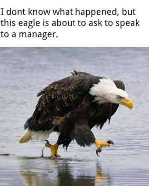 1693706497927.png
