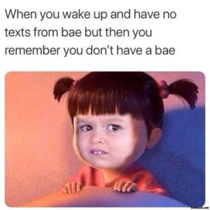 1693712251408.png