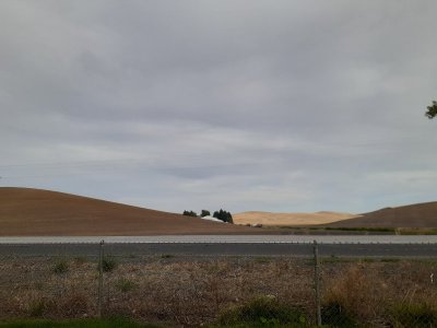 20230902_164814.jpg