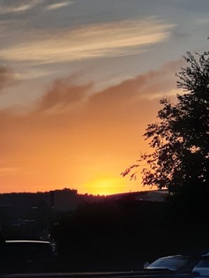20230902_192119.jpg