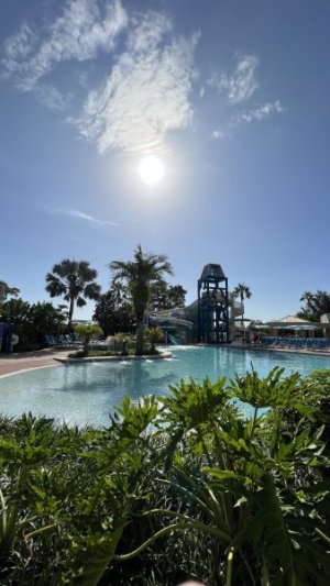 IMG_6124.jpeg