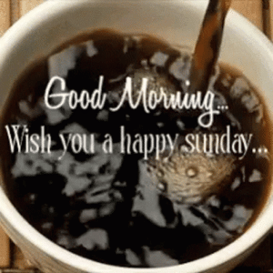 IMG_1980.gif