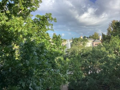 IMG_4905.jpeg