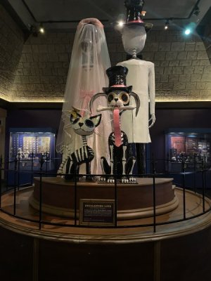 IMG_2222.jpeg