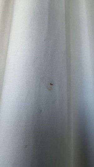 IMG_6230.jpeg