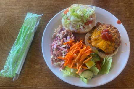 Day2_lunch_bison_burger.jpg