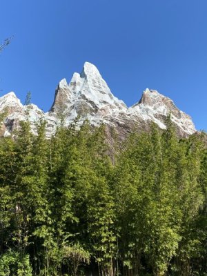 IMG_4558.JPEG