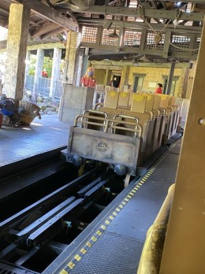 IMG_4563.JPEG