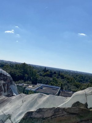 IMG_4570.JPEG