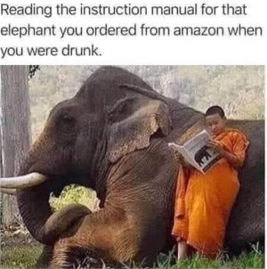 1693867488507.jpeg