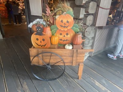 IMG_6120.jpeg IMG_6120.jpeg