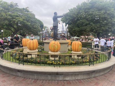IMG_6123.jpeg IMG_6123.jpeg