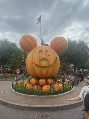 IMG_6136.jpeg