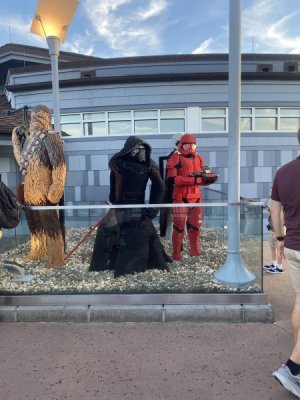 IMG_2892.jpeg