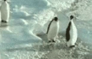 1693877923894.gif