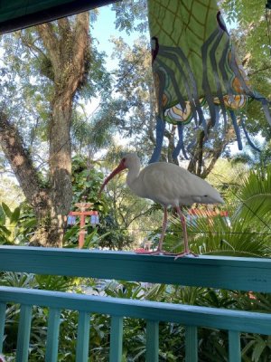 IMG_4588.JPEG