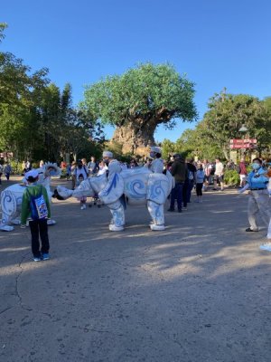 IMG_4592.JPEG