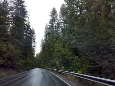20230904_171957.jpg