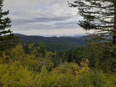 20230904_174626.jpg