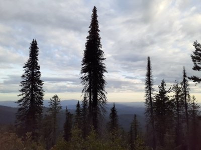 20230904_182404.jpg