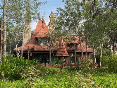 23 WDW-MK Fntsyland 5679.jpg
