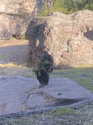 IMG_4602.JPEG