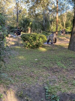 IMG_4603.JPEG